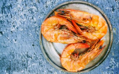 How to choose and buy shrimp?